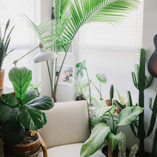 Click to open image in modal.