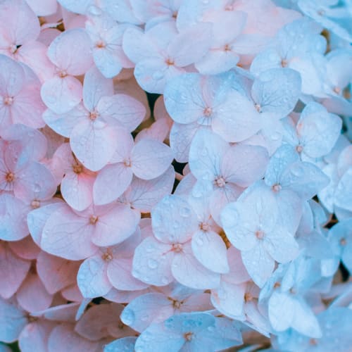 Click to open image in modal.