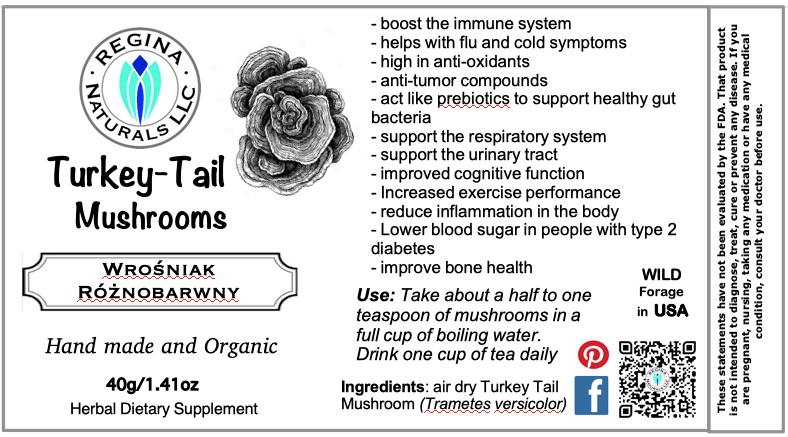 Turkey-Tail  Mushrooms - Wrośniak Różnobarwny