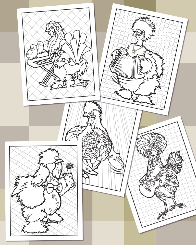 CHICKEN Coloring Pages