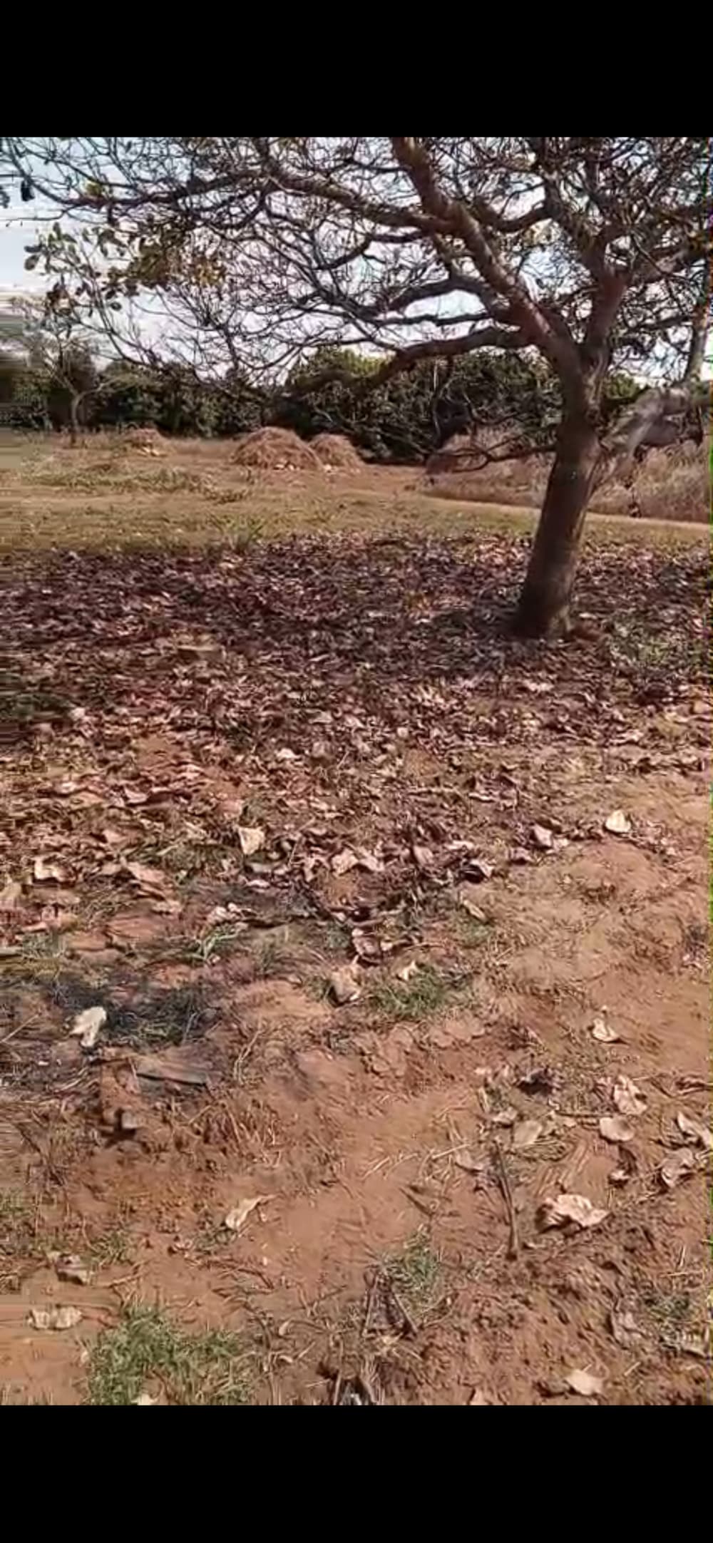 Terreno 20×30 na Zona UniZambeze — 250.000 MT (negociável), foto 2