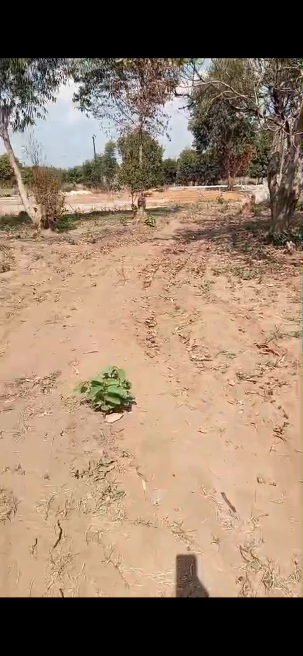 Terreno 20×30 na Zona UniZambeze — 250.000 MT (negociável), foto 3