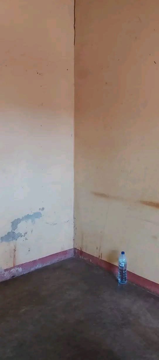 Casa tipo 1, foto 7
