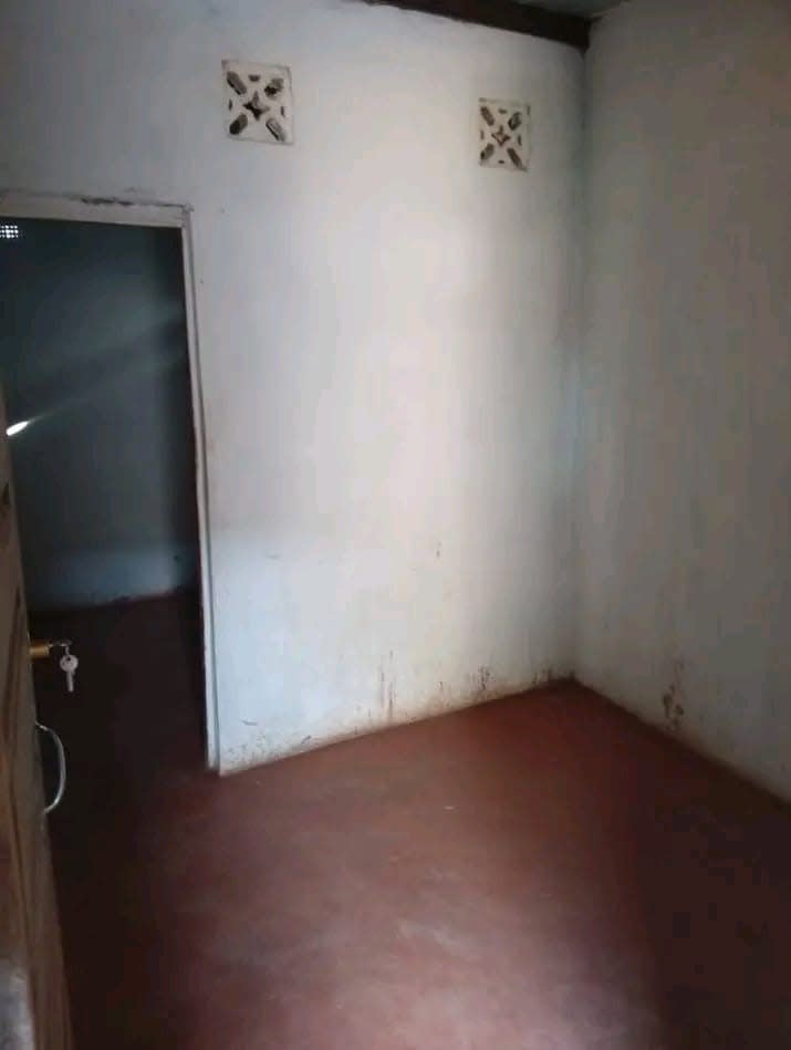 🏡 CASA TIPO 1 DISPONÍVEL PARA ARRENDAMENTO! 🏡, foto 1