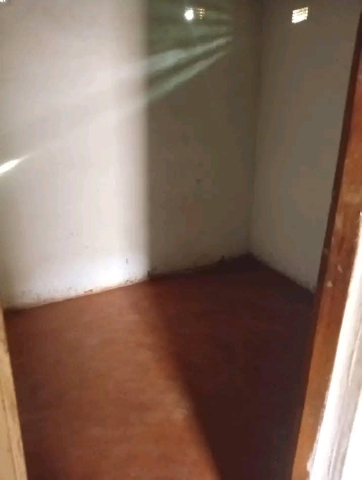 🏡 CASA TIPO 1 DISPONÍVEL PARA ARRENDAMENTO! 🏡, foto 3