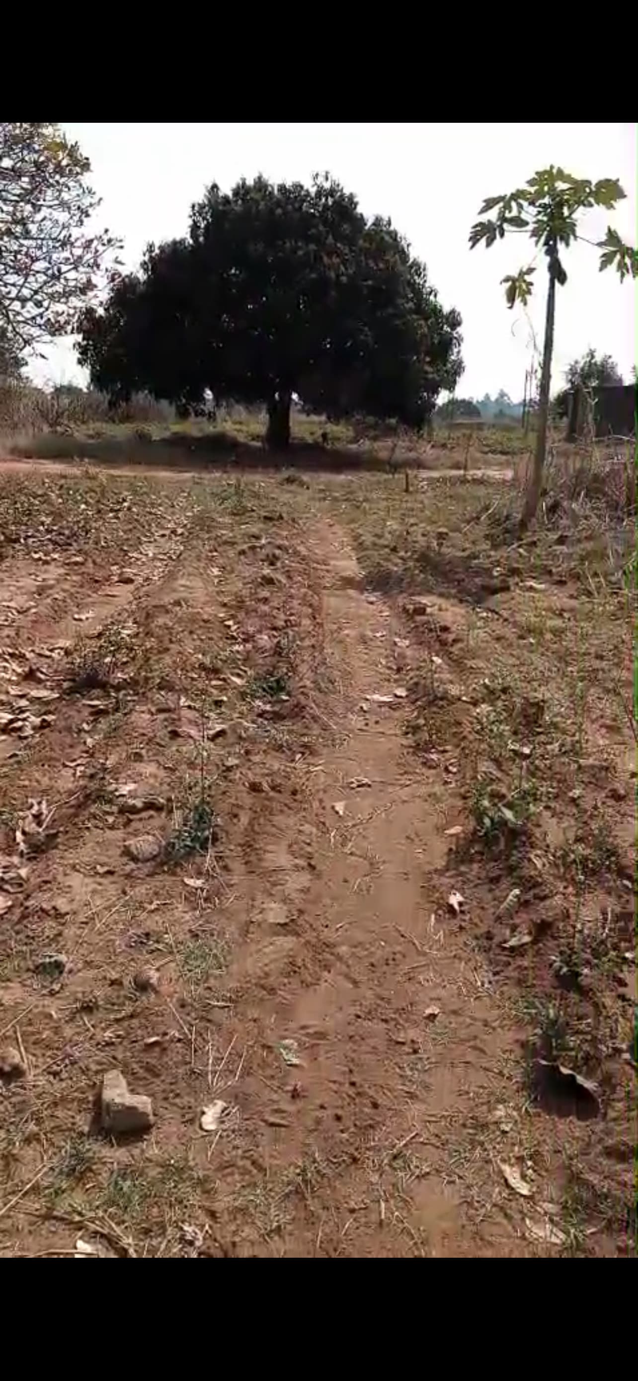 Terreno 20×30 na Zona UniZambeze — 250.000 MT (negociável), foto 1