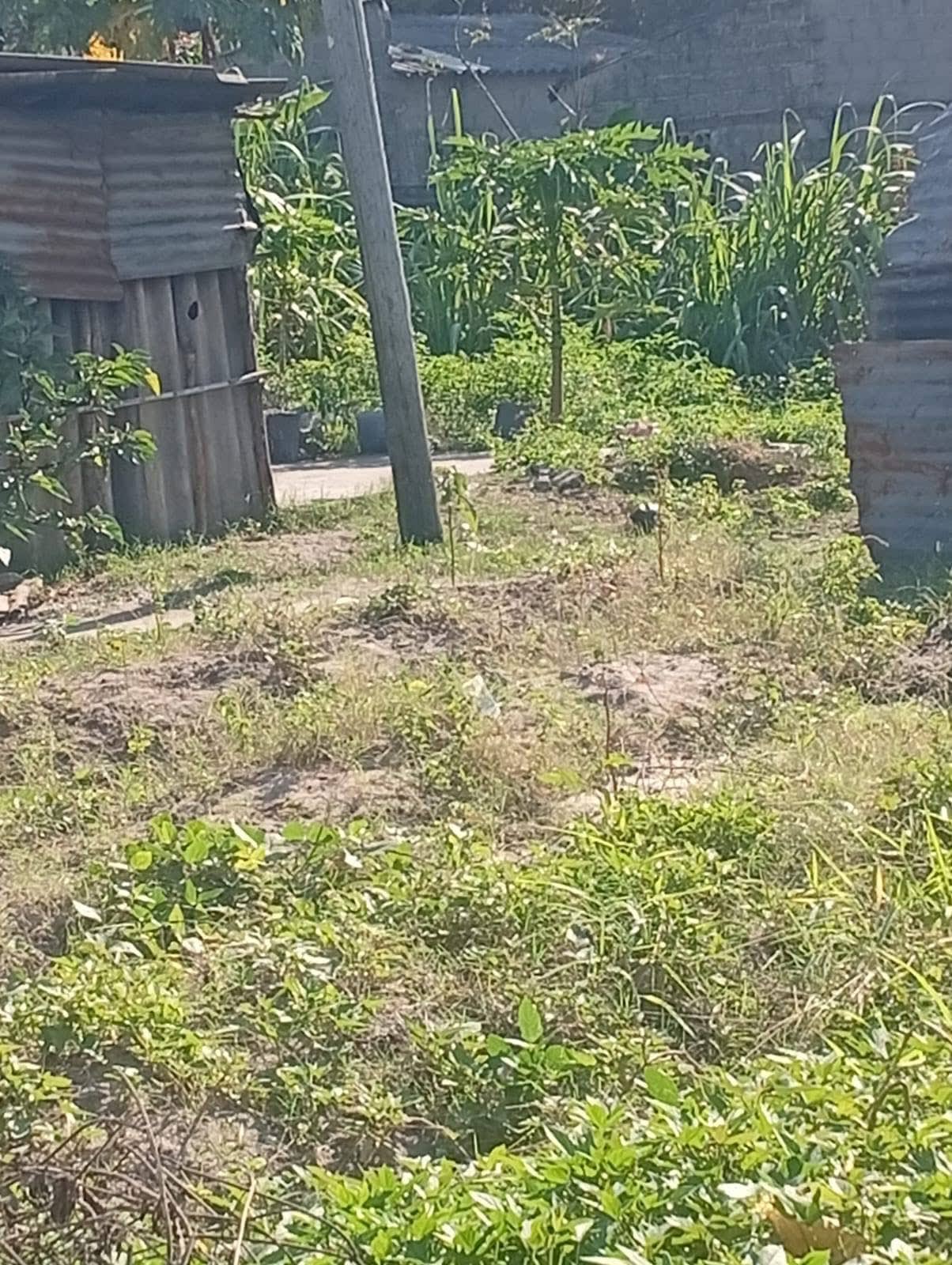 DISPONÍVEL Espaço/Terreno dimensão: 13m x 15m, foto 1
