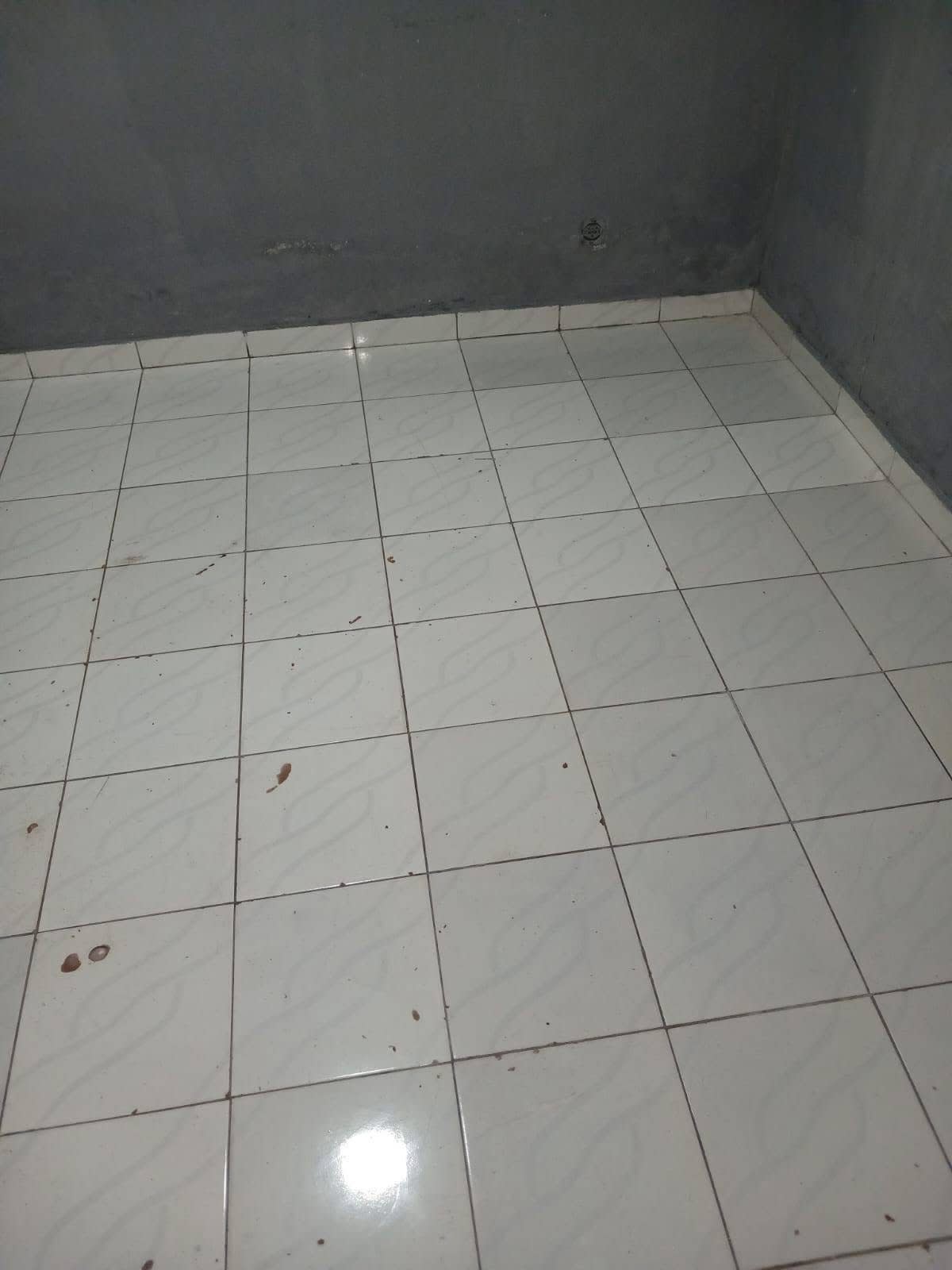 Casa para arrendar em Manga, Beira, foto 5