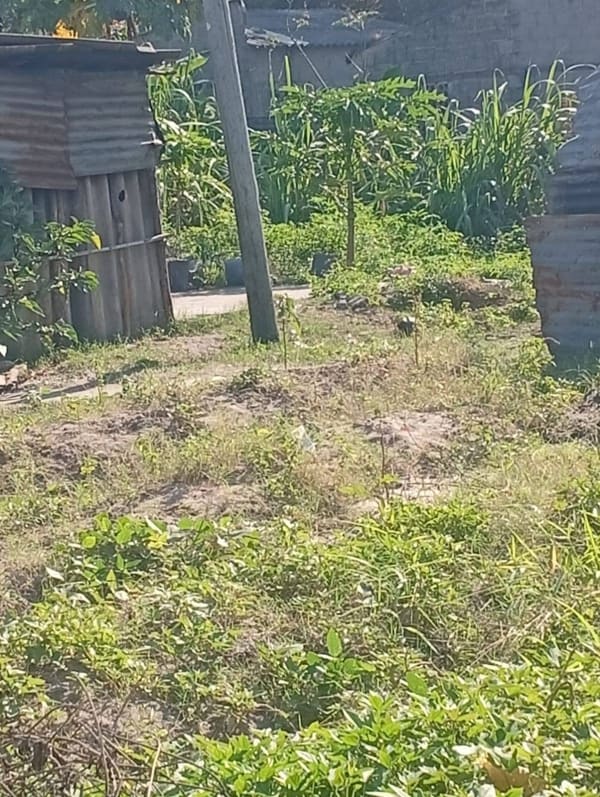DISPONÍVEL Espaço/Terreno dimensão: 13m x 15m