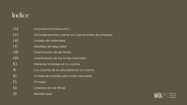 Manual Digital Descargable - Tintes Naturales en tu Cocina - Imagen 2