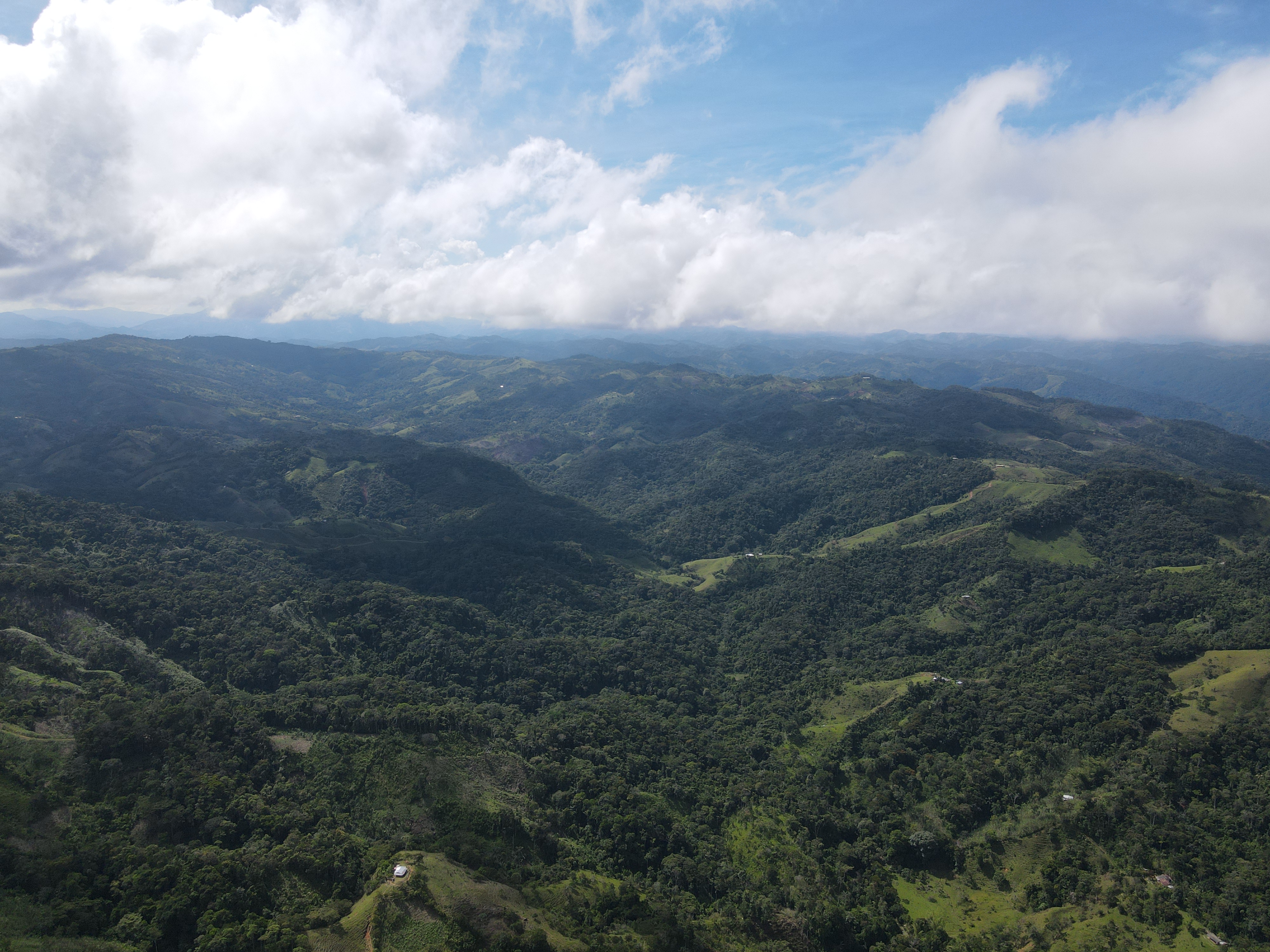 Quebradas y nacimientos de agua - Vereda La Iraca