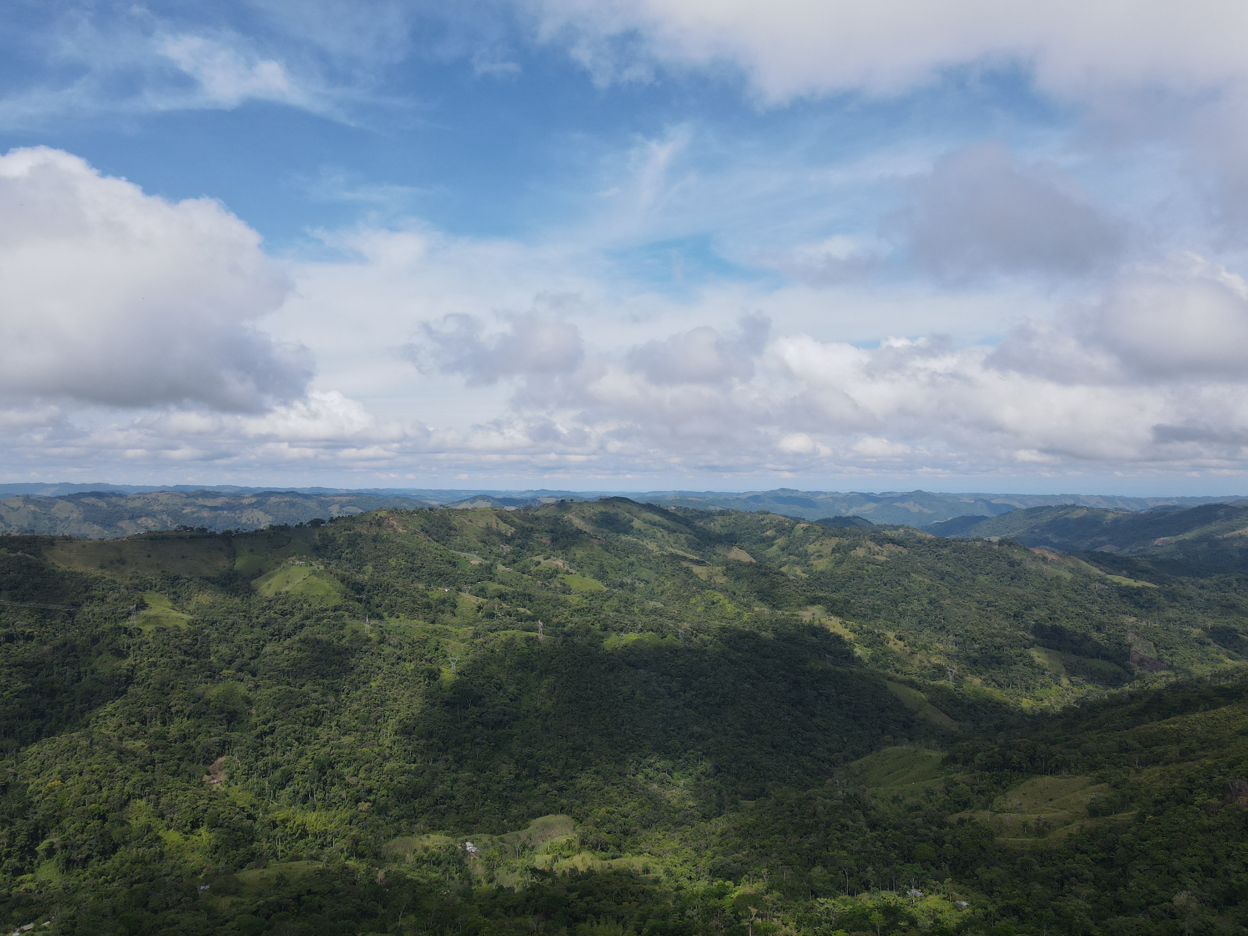 Bosque nativo protegido por las 54 familias
