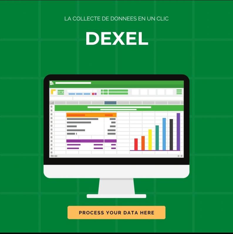 Dexel — Application de Collecte de Données sur le Terrain