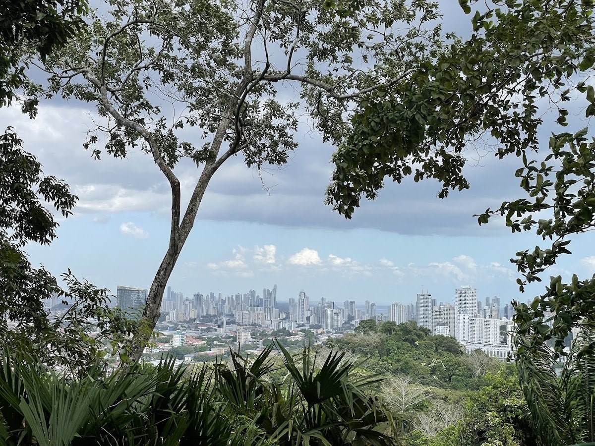 Mirador Cerro Cedro
