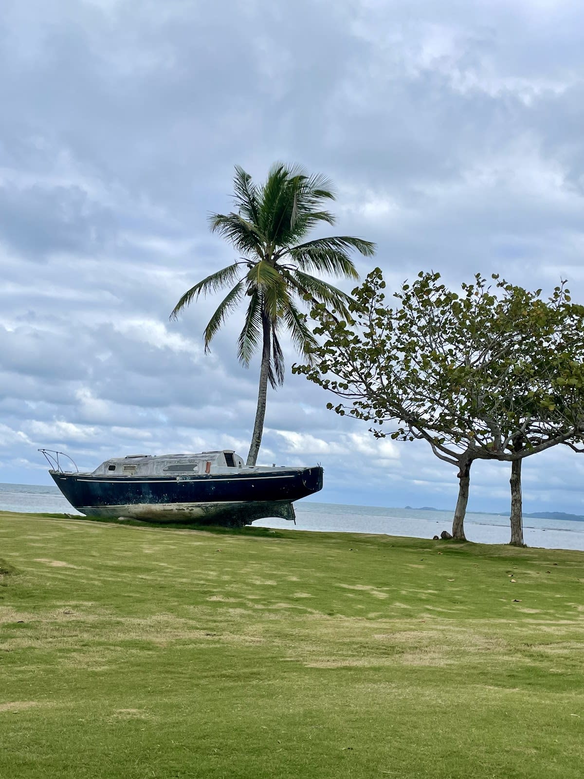 Punta Manzanillo