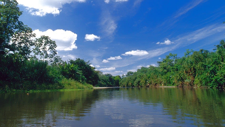 Parque Nacional Darién