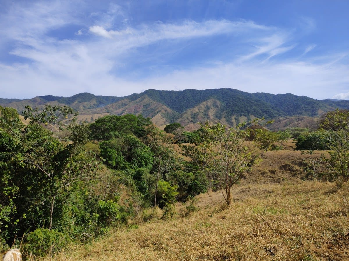 Reserva Forestal La Tronosa