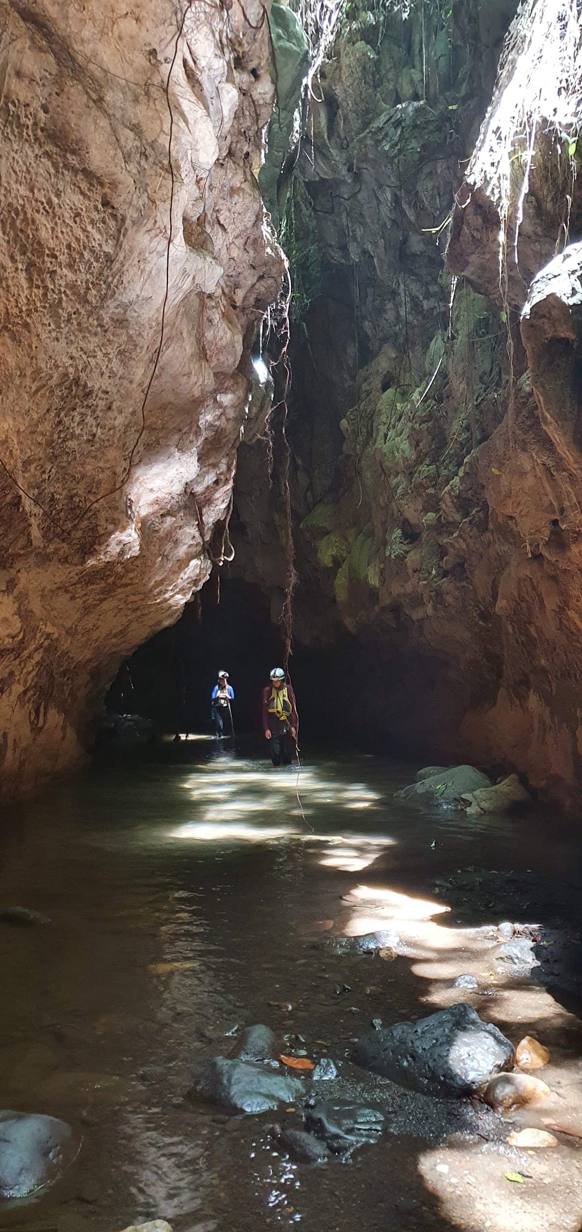 Cuevas de Bayano