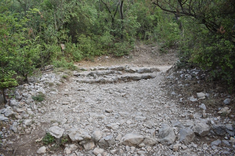 Sendero Los Quetzales