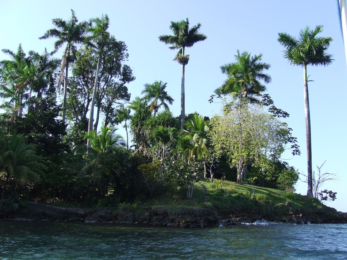 Hospital Point Reef