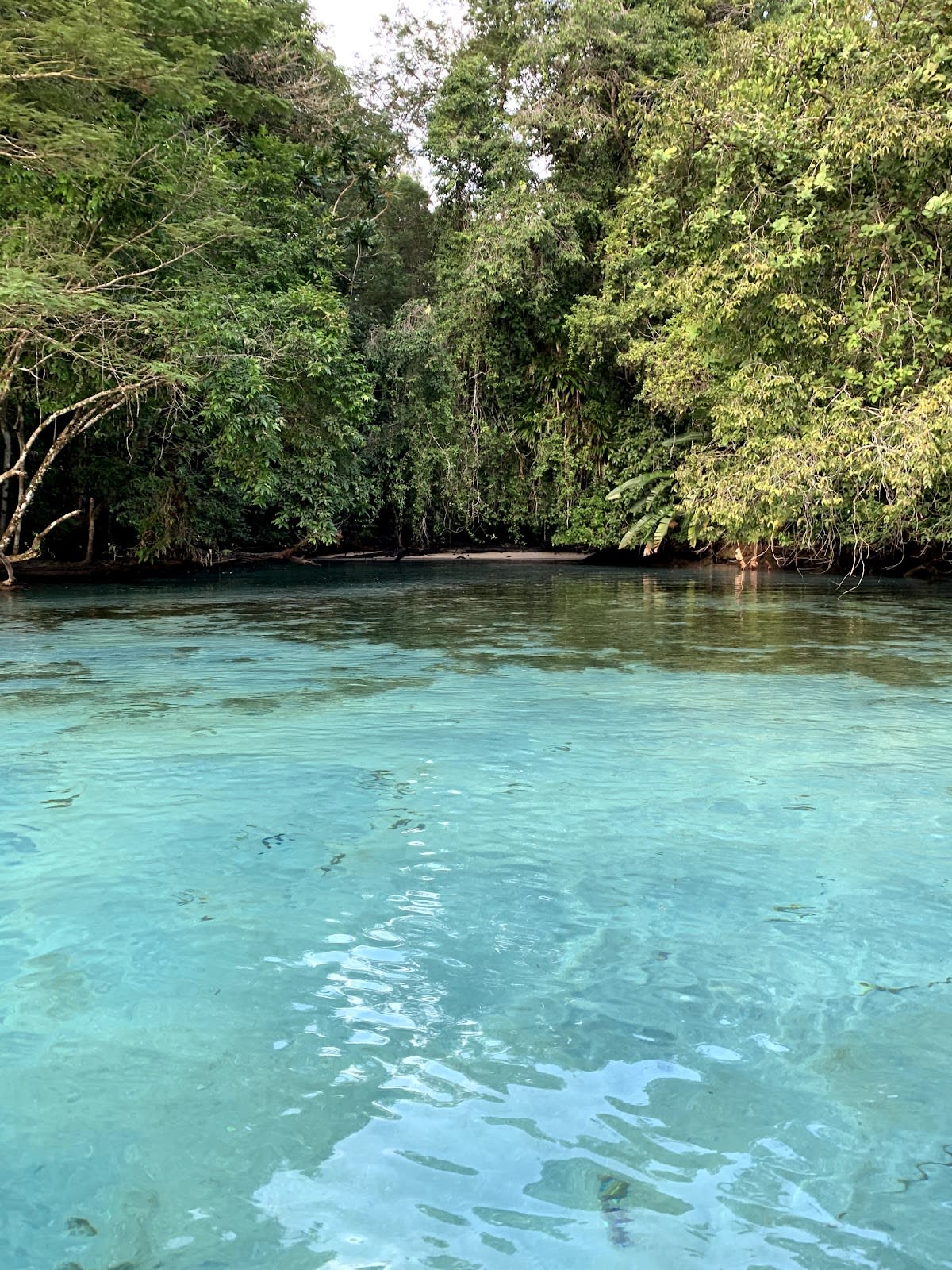 Isla Escudo de Veraguas