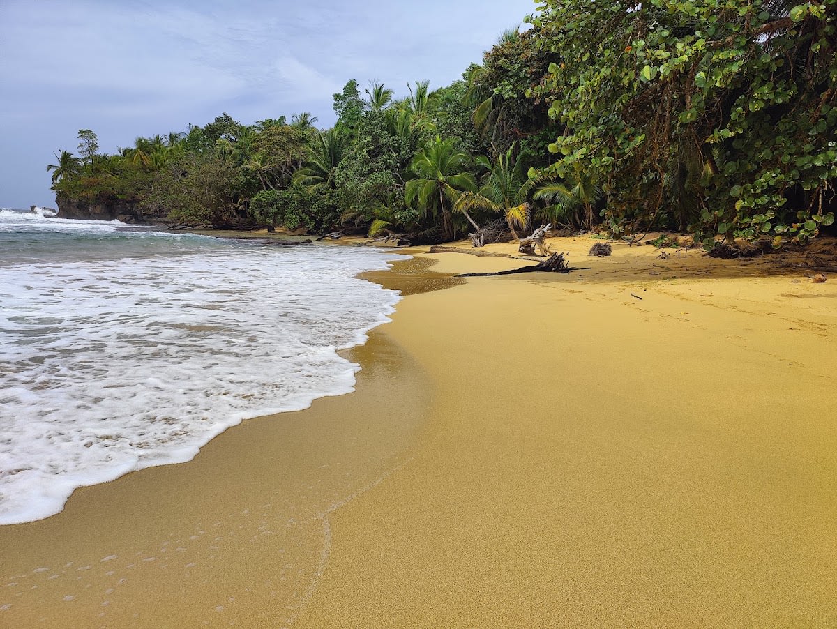 Playa Bluff