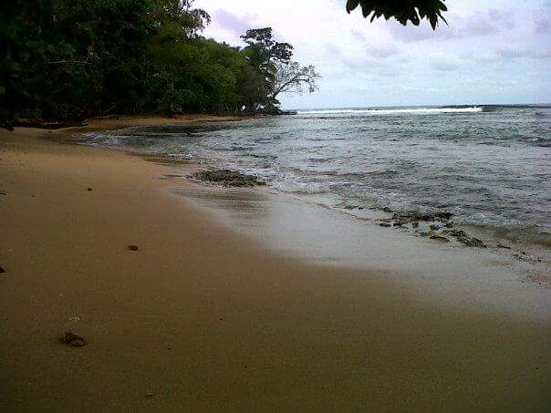 Playa Paunch