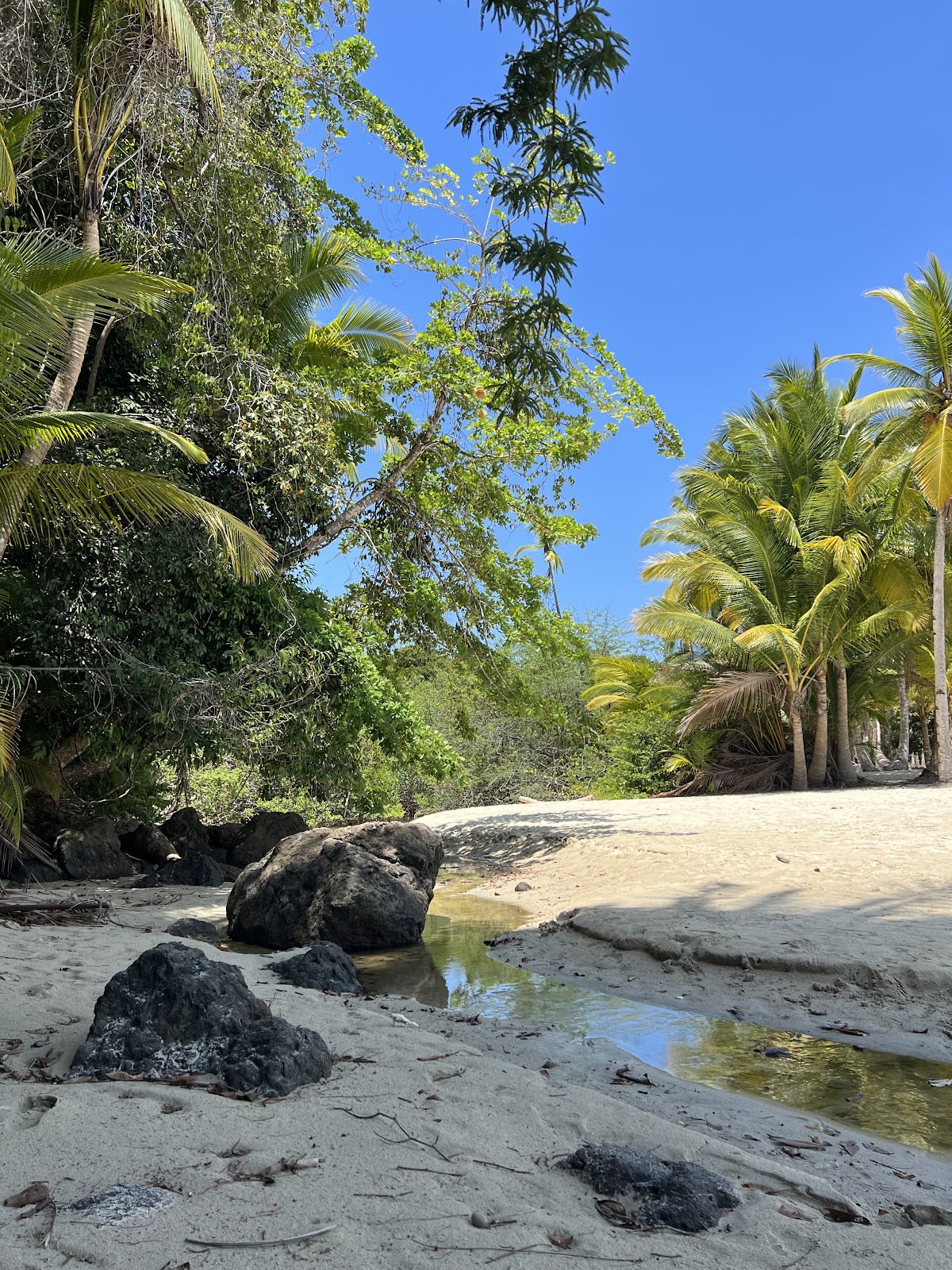 Parque Nacional Marino Golfo de Chiriquí