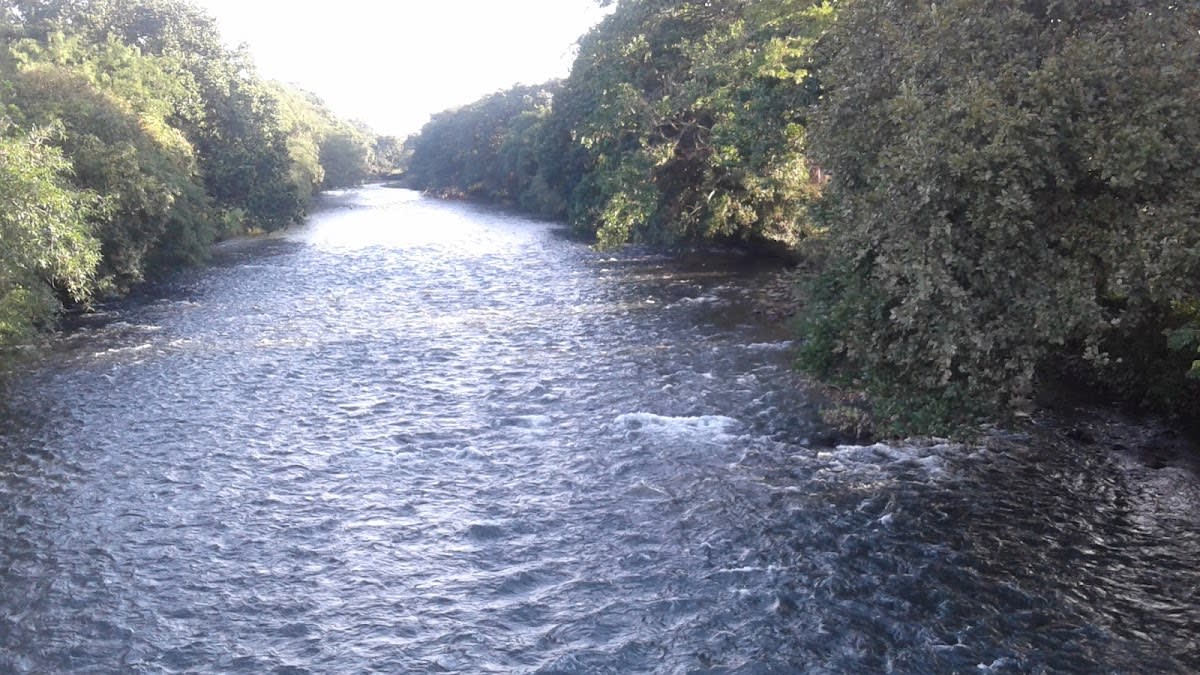 Río David