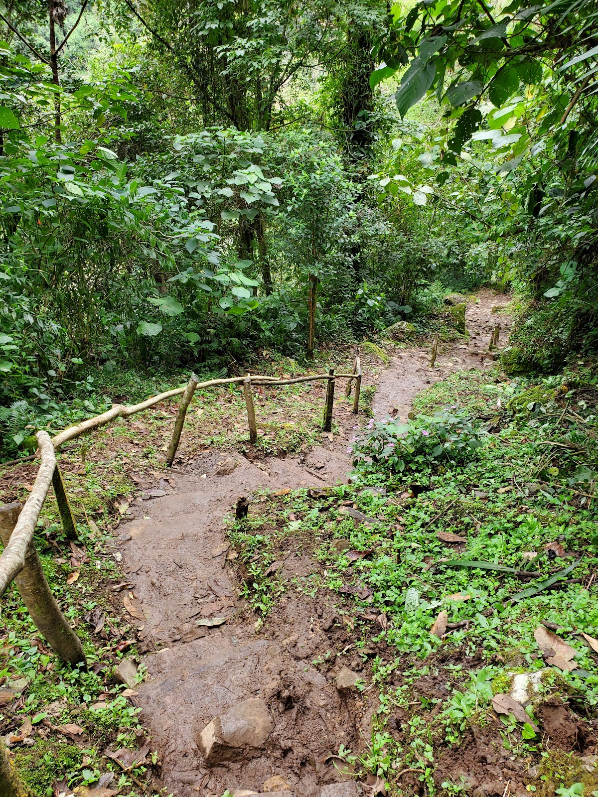 Sendero La Culebra