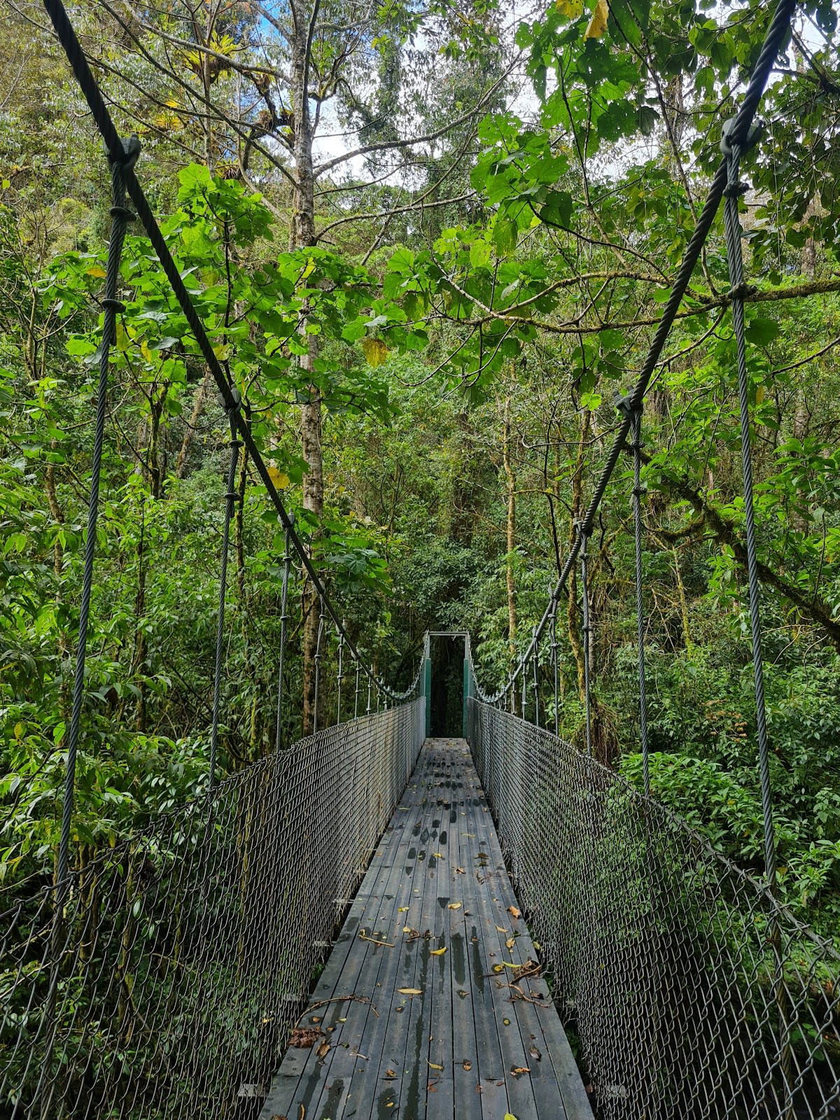 Sendero Los Quetzales