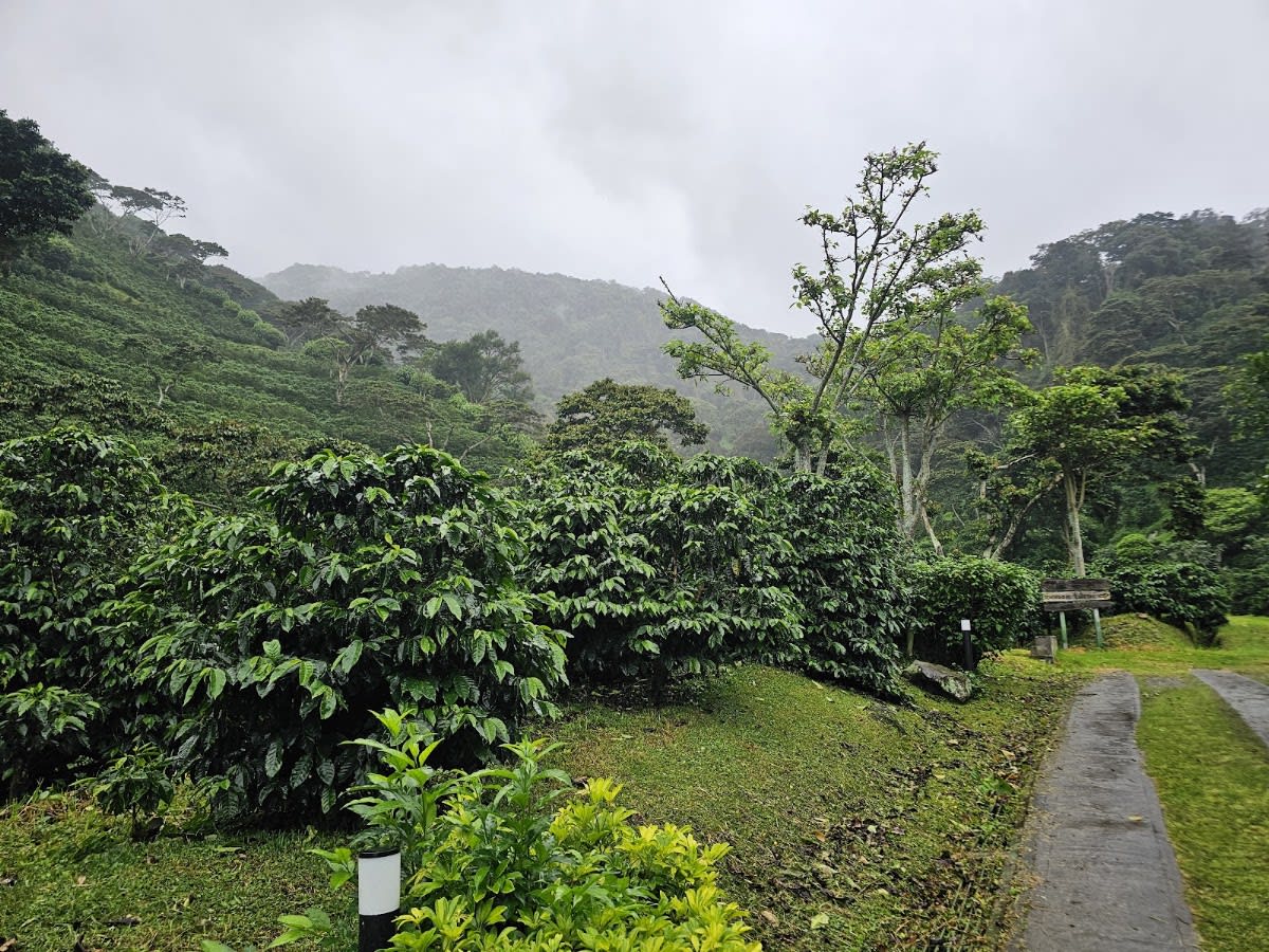 Senderos Finca Lérida