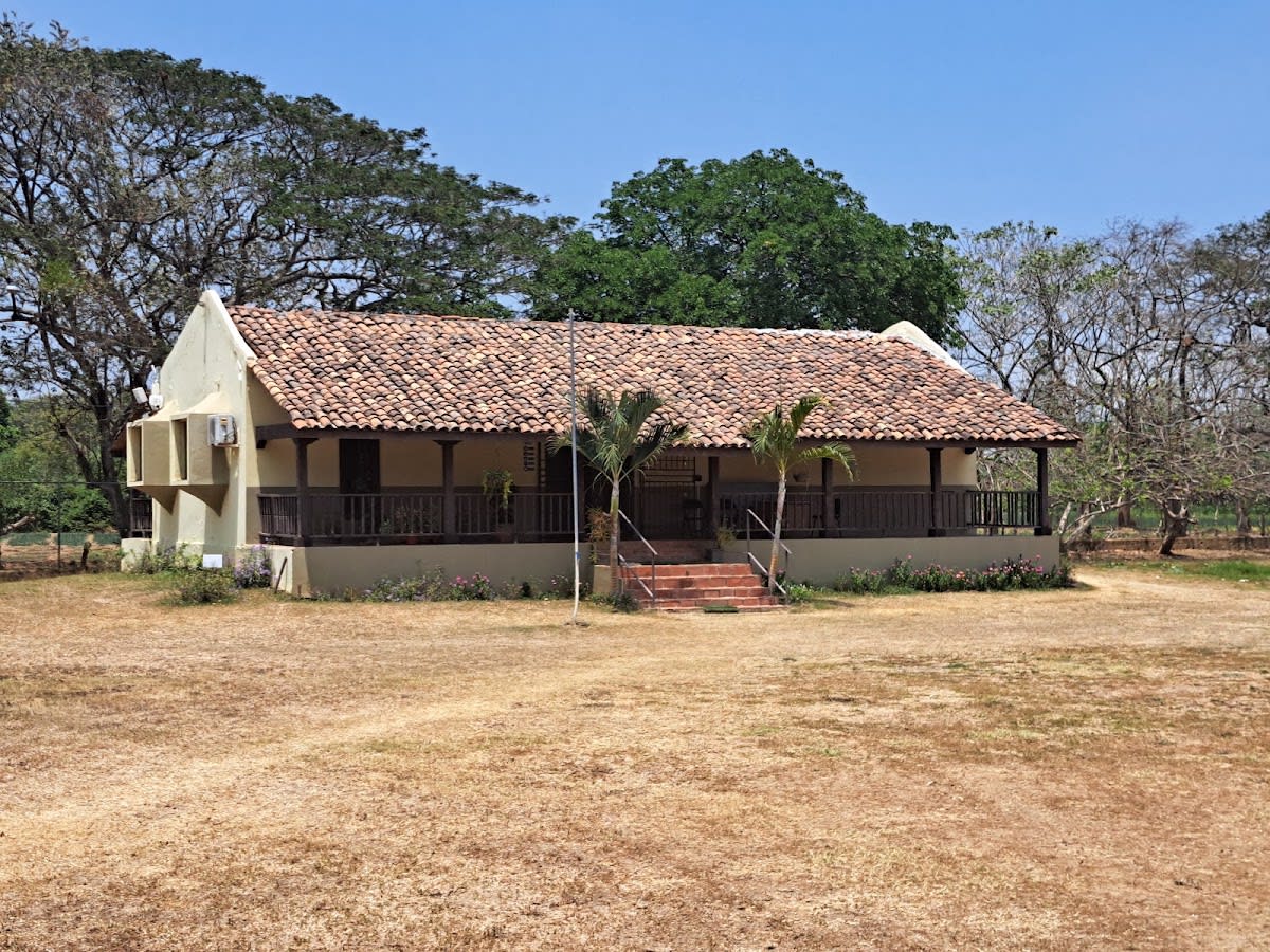 Museo El Caño