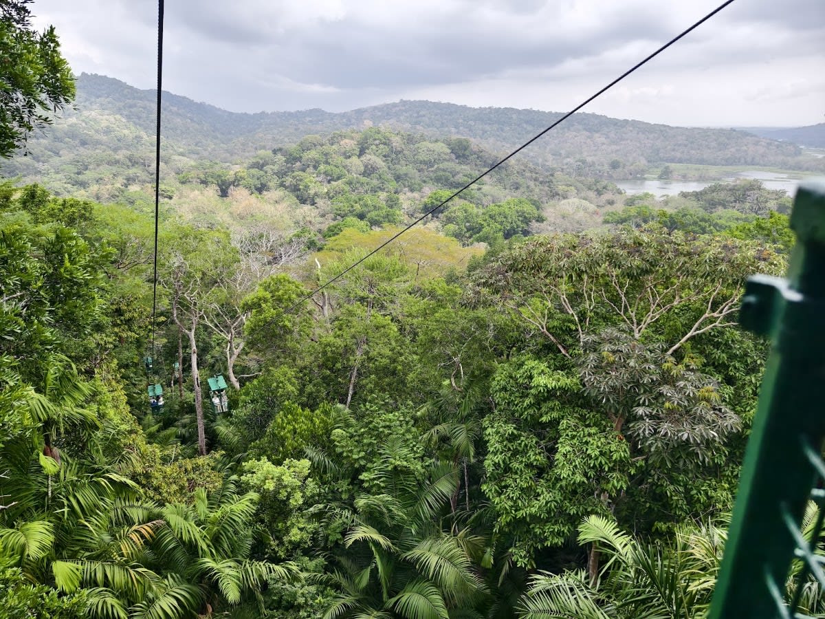 Panama Rainforest Discovery Center