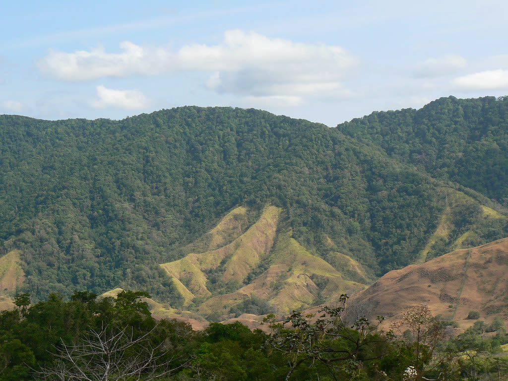 Parque Nacional Cerro Hoya