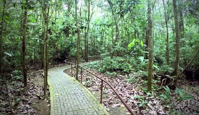 Parque Nacional Soberanía