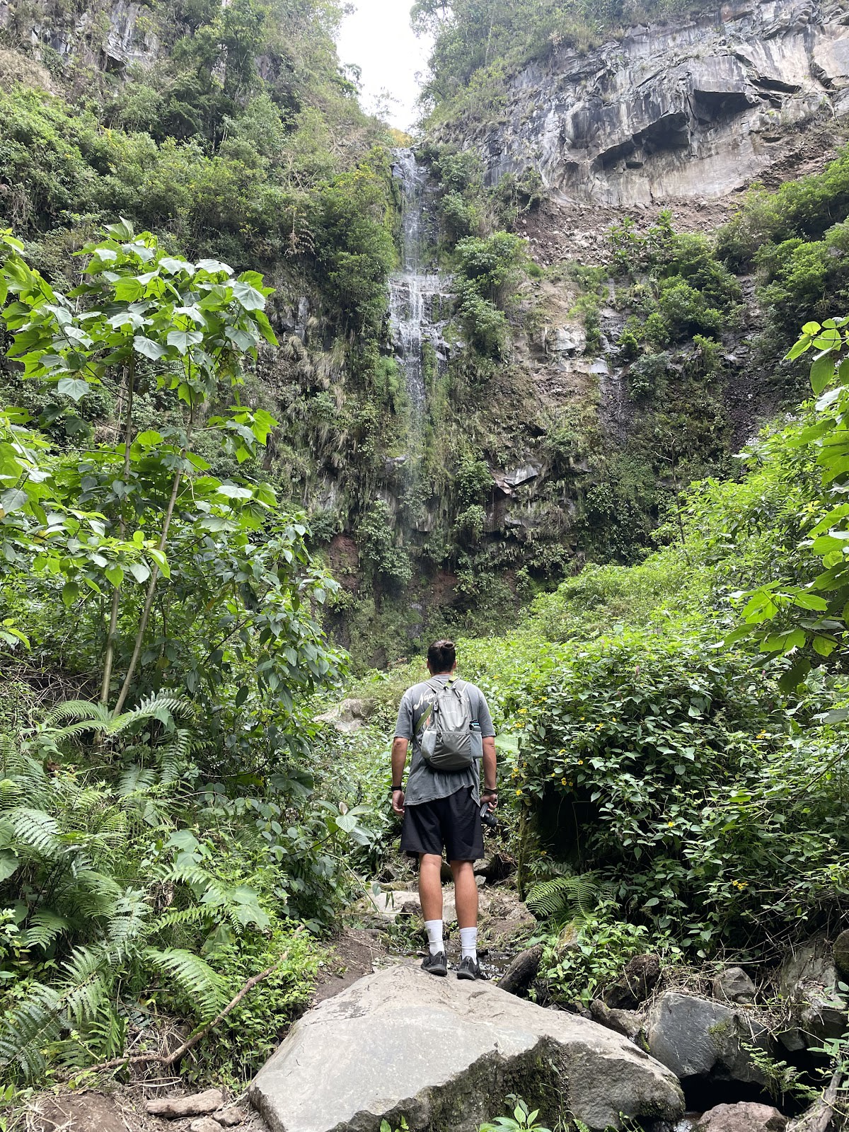 Pipeline Trail (Waterfall)