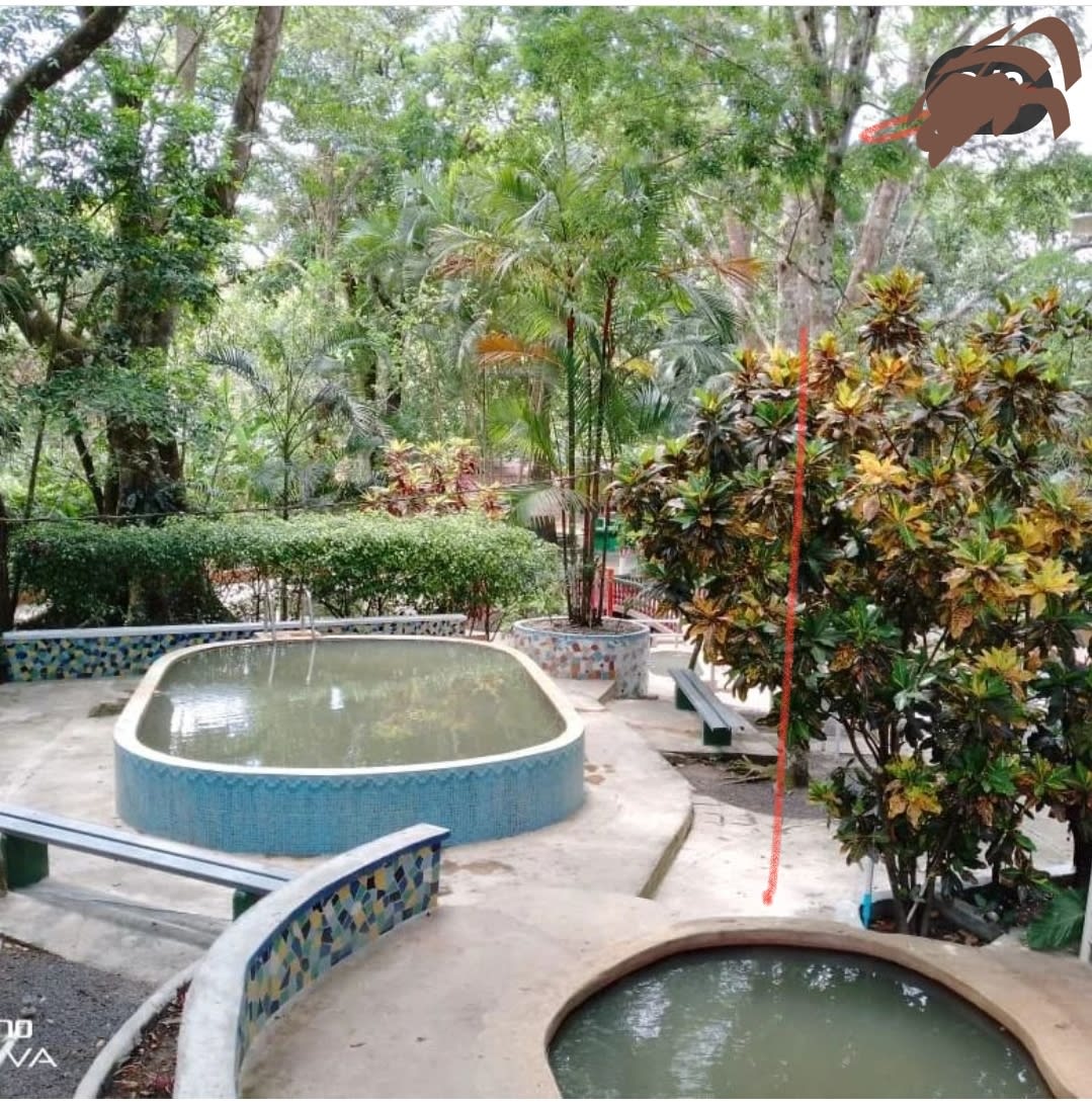 Pozos Termales El Valle de Antón