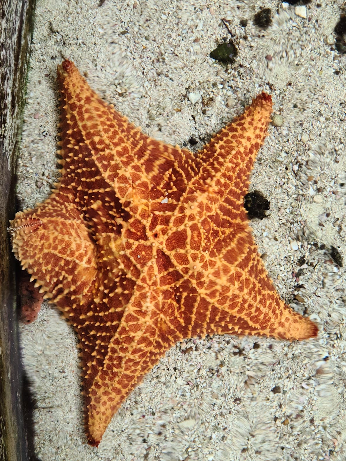 Punta Culebra Nature Center
