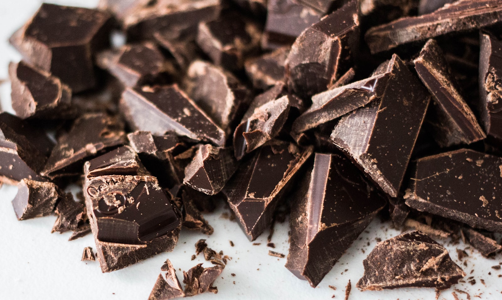 Mazorcas de cacao bajo sombra