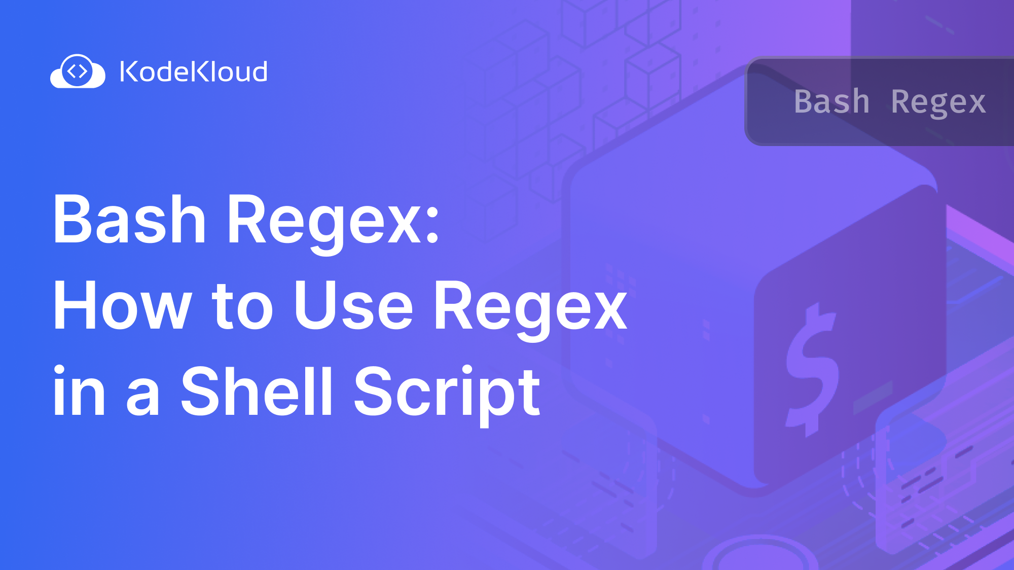 Custom Regex & Text Processing Script