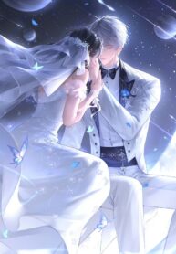 Không Có Nếu Như Trong Tình Yêu