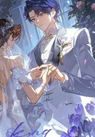 Tôi Không Cưới Anh