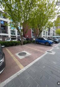 Hàng Xóm Mặt Dày