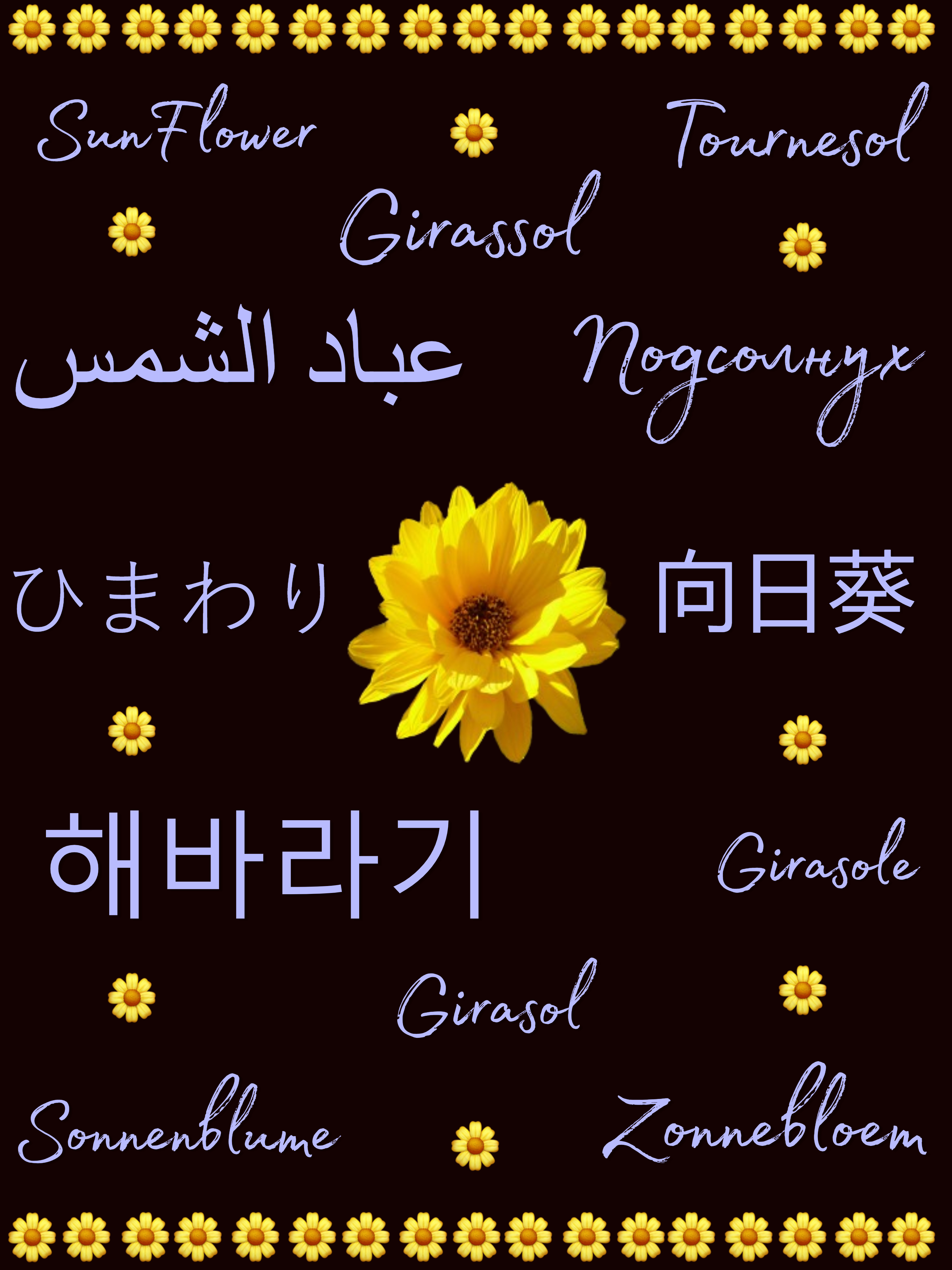 Flower Design 1
