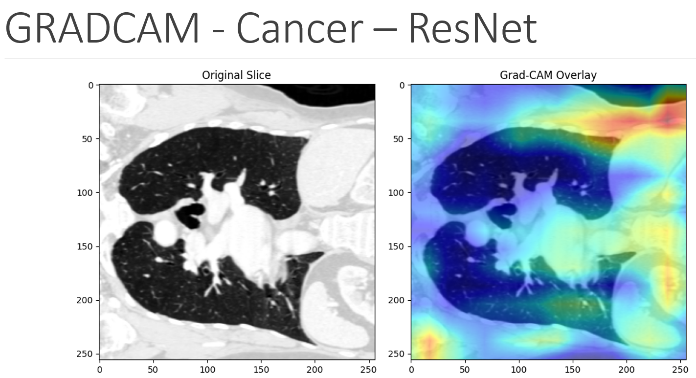 3D Medical Imaging