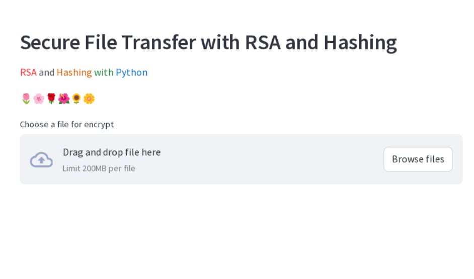 sft_RSA_hashing