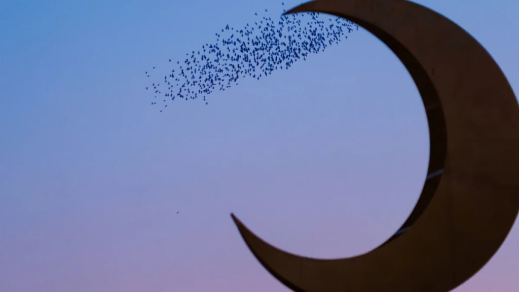 Blue Moon Metals (MOON) starts 67,000-meter drill program at Springer