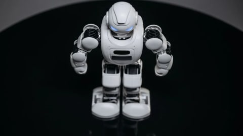 Humanoid Robots Safety Focus in Tech Industry Development