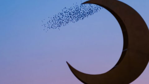 Blue Moon Metals (MOON) starts 67,000-meter drill program at Springer